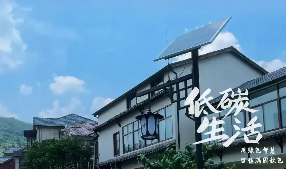 energy sector leadership